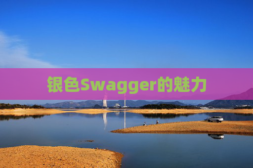 银色Swagger的魅力